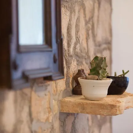Dalmatinska Kuca Appartement *