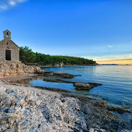 Dalmatinska Kuca Appartement *